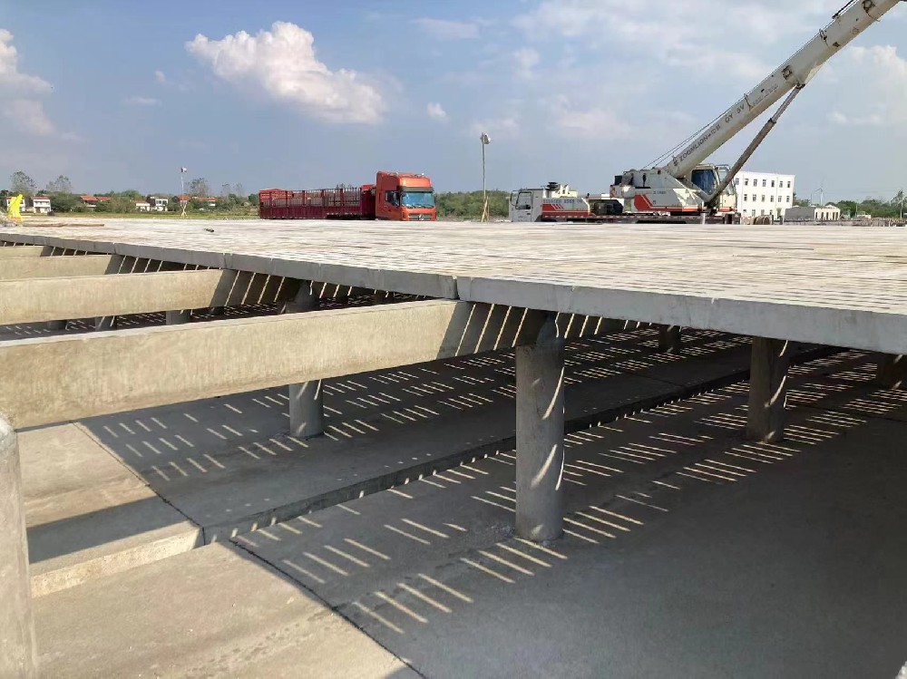 大型养殖综合体项目